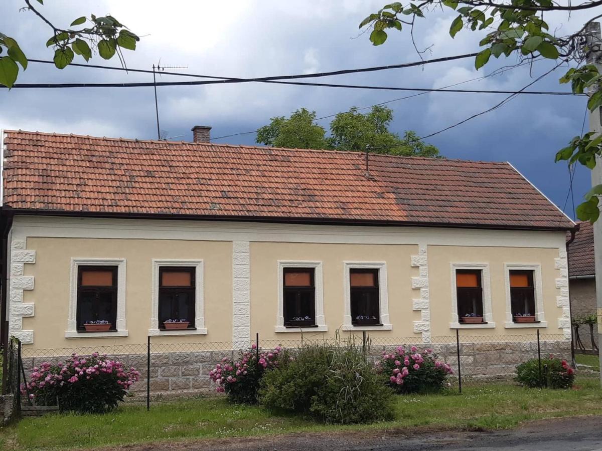Szőlőskert Vendégház, Erdőbénye Erdobénye Exterior foto